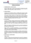 Vista preliminar de documento Servicio de Analista Senior de Control de Calidad de Sistemas Informáticos