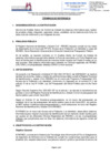 Vista preliminar de documento Servicio de Analista Senior de Control de Calidad de Sistemas Informáticos 3