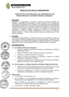 Vista preliminar de documento Directiva 018-2021.pdf