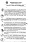 Vista preliminar de documento RG_294-2021.pdf