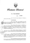 Vista preliminar de documento RD N° 155-2021.pdf