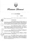 Vista preliminar de documento RD N° 166-2021.pdf