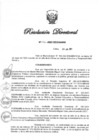 Vista preliminar de documento RD N° 176-2021.pdf