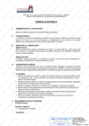 Vista preliminar de documento Servicio Especializado en Contrataciones del Estado