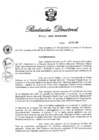 Vista preliminar de documento RD N° 061-2020.pdf
