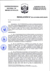 Vista preliminar de documento Resolución N° 0233-2019/SBN-DGPE-SDAPE
