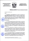 Vista preliminar de documento Resolución N° 0249-2019/SBN-DGPE-SDAPE