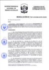 Vista preliminar de documento Resolución N° 0307-2019/SBN-DGPE-SDAPE