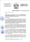 Vista preliminar de documento Resolución N° 1411-2019/SBN-DGPE-SDAPE