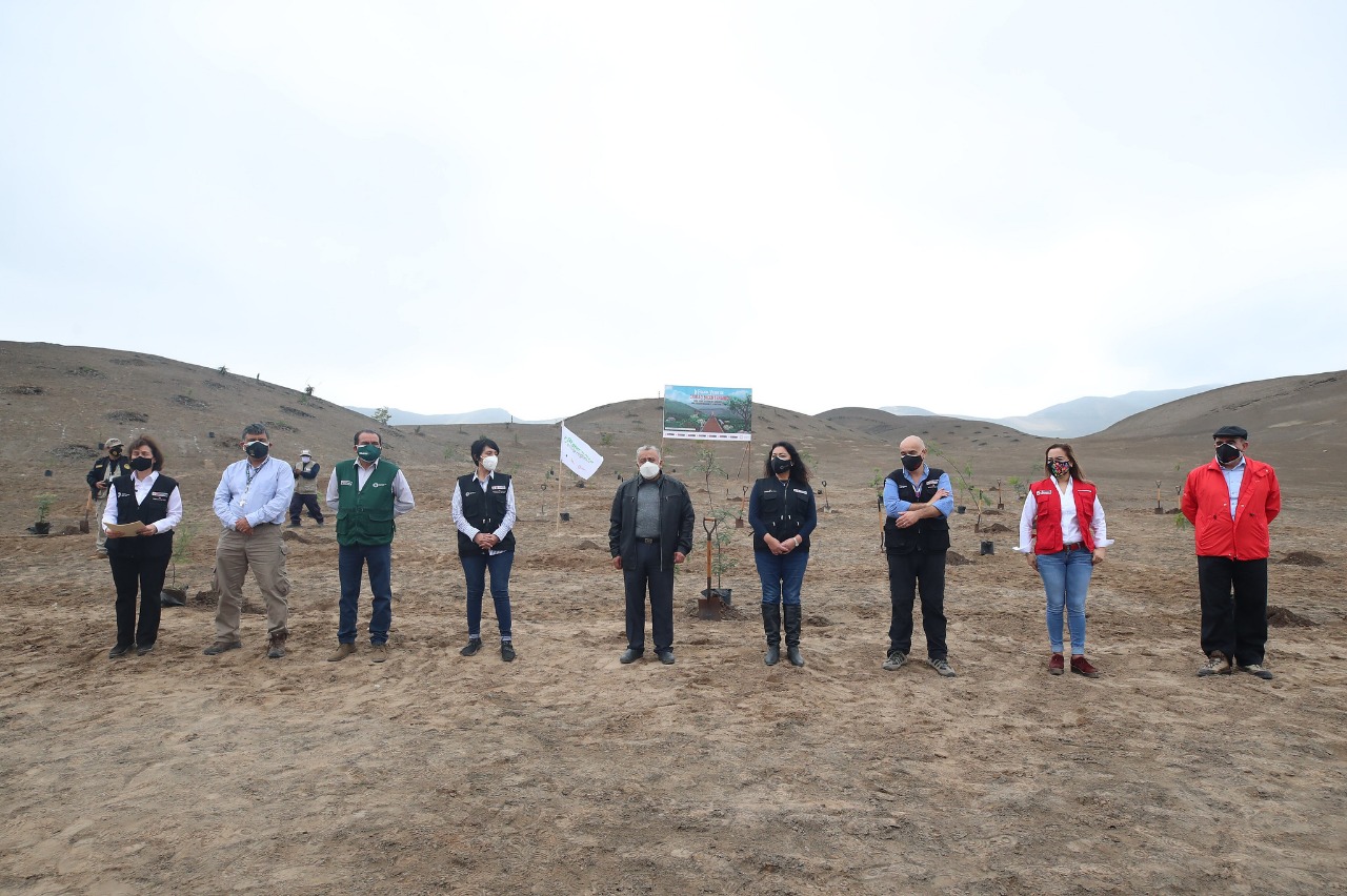 Viceministro de Políticas para la Defensa participó en plantación de árboles del proyecto Ciudad Bicentenario