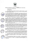 Vista preliminar de documento RER_868_2015.pdf
