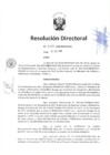 Vista preliminar de documento RD-250-2018-MIMP/OGA