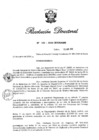 Vista preliminar de documento RD N° 100-2020.pdf