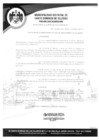Vista preliminar de documento RESOLUCION DE ALCALDIA N101-2021-AL-MDSDO-H.pdf
