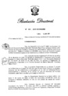 Vista preliminar de documento RD N° 101-2020.pdf