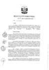 Vista preliminar de documento RD 177-2018