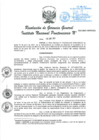 Vista preliminar de documento RGG N°032-2021.pdf