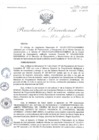 Vista preliminar de documento RD-N-399