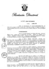 Vista preliminar de documento RD 029-2020.pdf