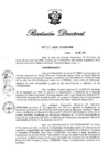 Vista preliminar de documento RD 033-2020.pdf