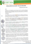 Vista preliminar de documento RA-065-2021.pdf