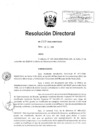 Vista preliminar de documento RD-263-2018-MIMP/
