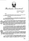 Vista preliminar de documento RD_2014_006_COPESCO