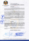 Vista preliminar de documento Resolución de Gerencia Municipal N°025-2020-MDLCH-GM