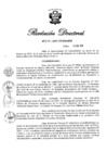 Vista preliminar de documento RD N° 049-2020.pdf
