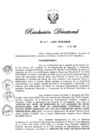 Vista preliminar de documento RD N° 207-2020.pdf