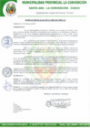Vista preliminar de documento RA-063-2017-MPLC/A
