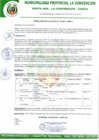 Vista preliminar de documento RA-167-2017-A/MPLC
