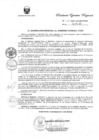 Vista preliminar de documento R.E.R. Nro 238-2021-GR-GR PUNO.pdf