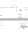 Vista preliminar de documento ANEXO JUNIO 2021 f.pdf