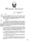 Vista preliminar de documento RD_2014_135_COPESCO