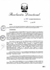 Vista preliminar de documento RD_2014_140_COPESCO