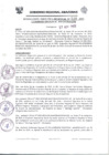 Vista preliminar de documento Resolución Ejecutiva  530-2013 GRA/GR