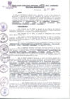 Vista preliminar de documento Resolución Ejecutiva  459-2013 GRA/GR