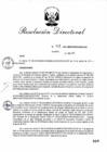 Vista preliminar de documento RD_2014_141_COPESCO