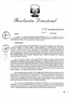 Vista preliminar de documento RD_2014_142_COPESCO
