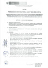 Vista preliminar de documento BASES
