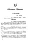 Vista preliminar de documento RD N° 223-2020.pdf