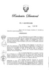 Vista preliminar de documento RD N° 225-2020.pdf