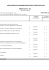 Vista preliminar de documento Anexo 