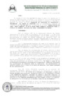 Vista preliminar de documento doc0300.pdf