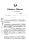 Vista preliminar de documento RD N° 250-2020.pdf