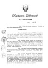 Vista preliminar de documento RD N° 251-2020.pdf