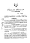 Vista preliminar de documento RD N° 259-2020.pdf