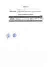 Vista preliminar de documento Anexo 1