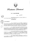 Vista preliminar de documento RD N° 266-2020.pdf